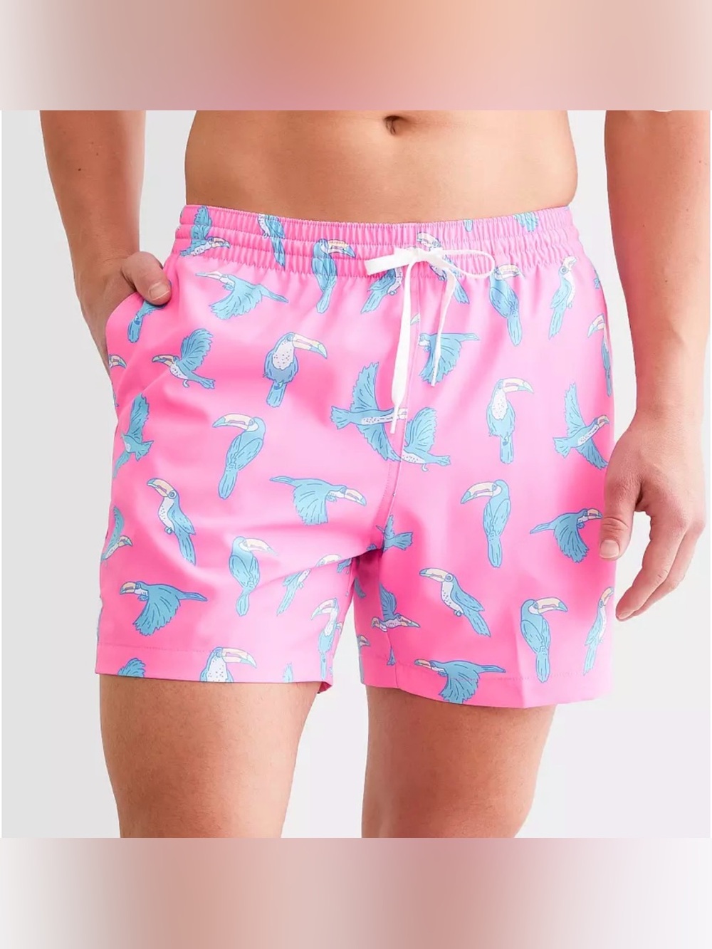 chubbies The Toucan Do Its swim trunks